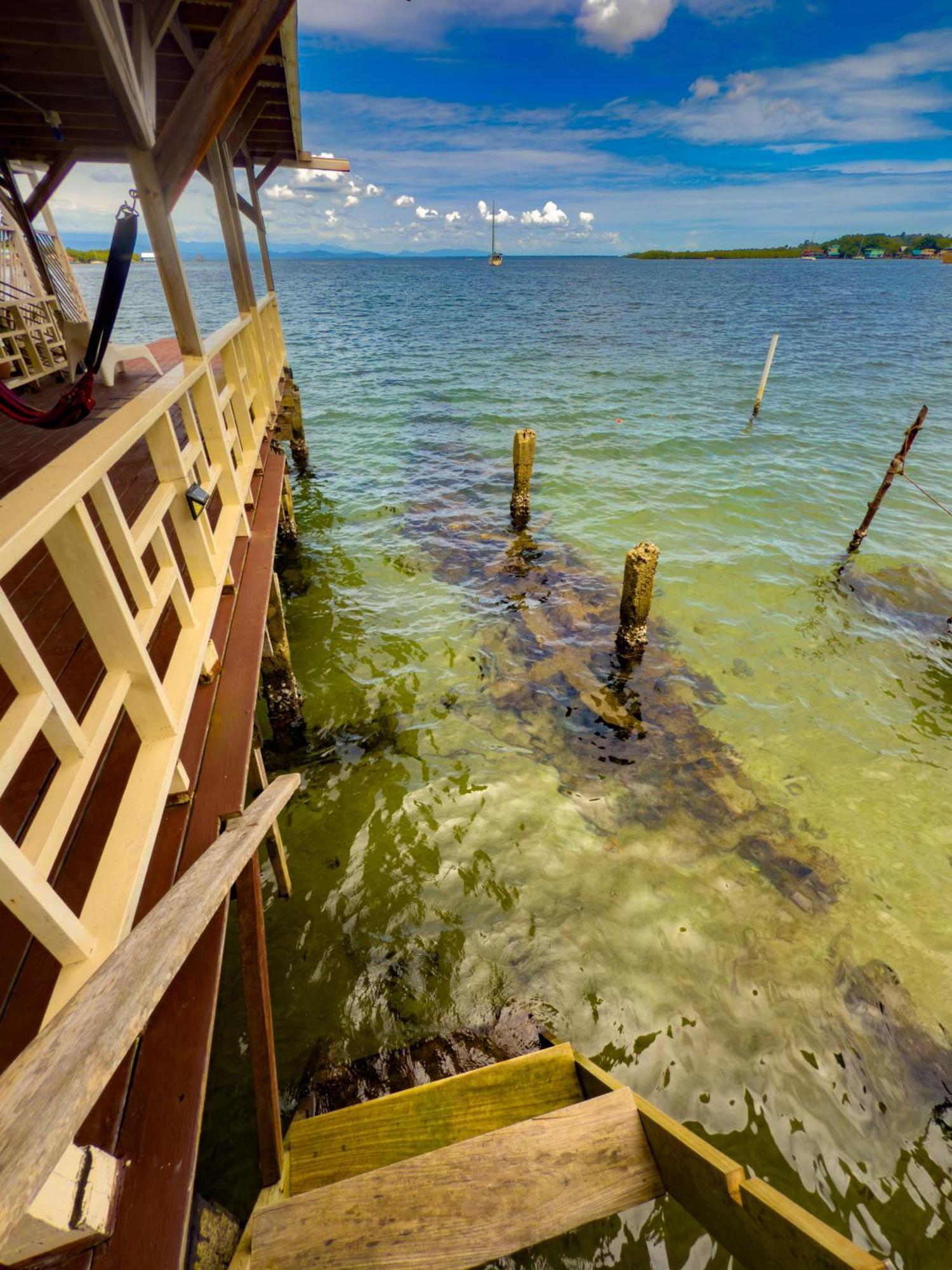 Saigon Bay Bed & Breakfast Bocas Town Quarto foto